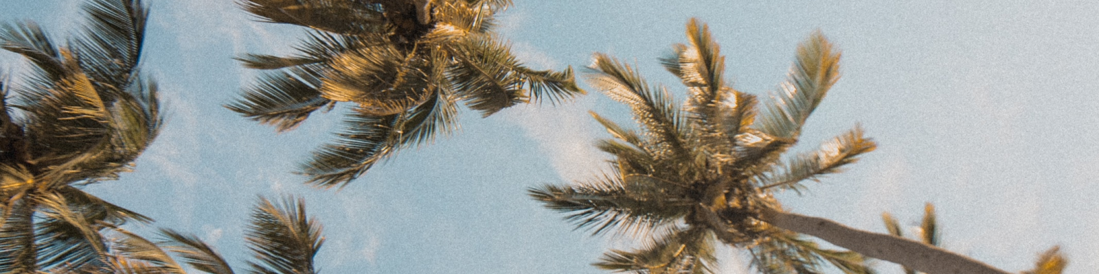 Background (1)