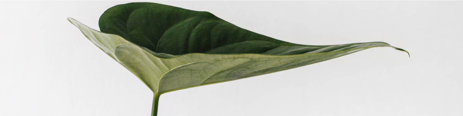 Background (2)